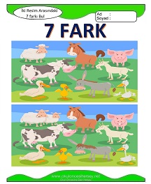 İki Resim Arasındaki Farkı Bul Etkinliği